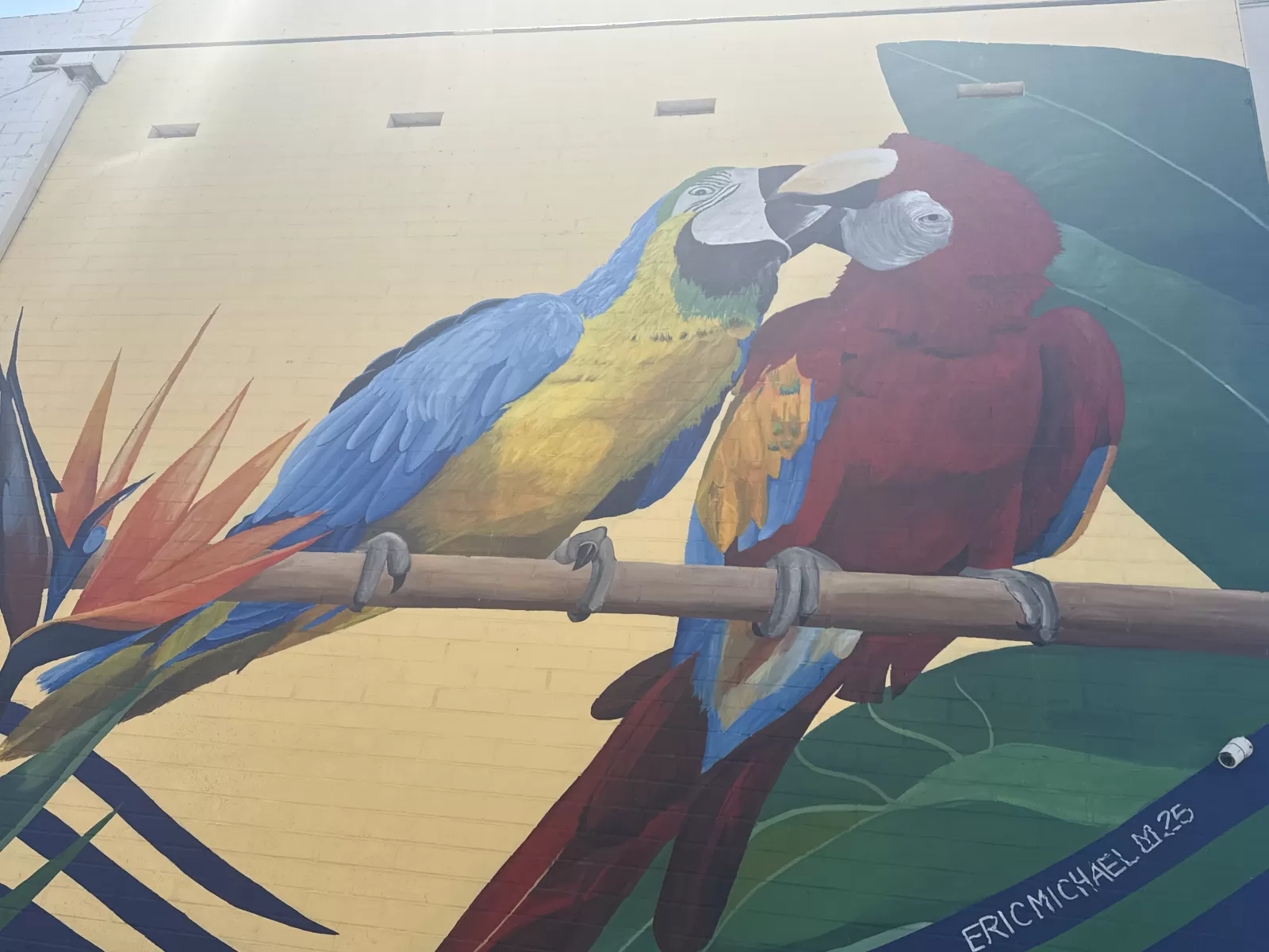 A large wall mural depicts two brightly colored parrots perched on a branch against an abstract multicolored background. The visible signature reads “ERIC MICHAEL 2025.”